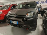 usata Fiat Panda Cross 1.0 FireFly S&S Hybrid