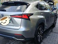 Usata Lexus NX300h Sport Line 155 CV (114 kW) 2018 Grigio SUV