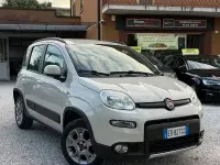 Usata Fiat Panda 4x4 S 75 CV (55 kW) 2013 Grigio Utilitaria