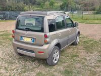 Usata Fiat Panda 4x4 69 CV (50 kW) 2010 Utilitaria