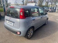 Usata Fiat Panda 69 CV (50 kW) 2022 Grigio Utilitaria