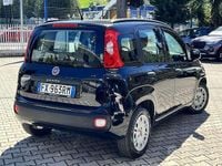 Usata Fiat Panda Easy 69 CV (50 kW) 2019 Utilitaria