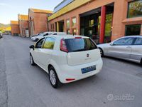 usata Fiat Punto Evo 1.3mjt Neopatentati - 2014