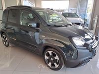 Usata Fiat Panda Cross Cross 71 CV (52 kW) 2025 Verde Utilitaria