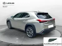 Usata Lexus UX 183 CV (134 kW) 2019 Grigio SUV