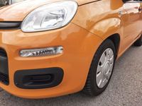 usata Fiat Panda 1.2 Easy - OK NEOPATENTATI -