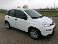 Usata Fiat Panda S 69 CV (50 kW) 2023 Bianco Utilitaria