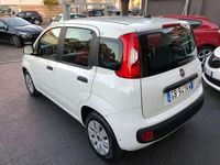 Usata Fiat Panda Pop 69 CV (50 kW) 2020 Bianco Berlina
