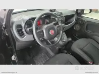 Usata Fiat Panda Cross Cross 70 CV (51 kW) 2020 Nero Utilitaria