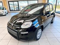 usata Fiat Panda 1.0 FireFly S&S Hybrid