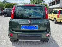 Usata Fiat Panda 4x4 S 95 CV (69 kW) 2018 Verde Utilitaria