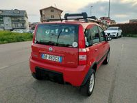 Usata Fiat Panda 4x4 60 CV (44 kW) 2006 Rosso Utilitaria