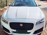 Usata Jaguar XF 299 CV (219 kW) 2015 Bianco Berlina
