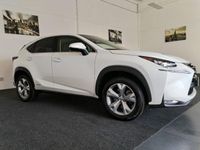 usata Lexus NX300h Hybrid 4WD Luxury