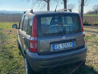 Usata Fiat Panda Dynamic 60 CV (44 kW) 2011 Grigio Utilitaria