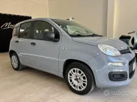 Usata Fiat Panda Easy 69 CV (50 kW) 2019 Grigio Utilitaria