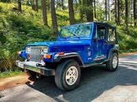 Usata Jeep Wrangler 184 CV (135 kW) 1995 Blu SUV