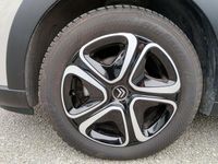 Usata Citroën C3 Feel 83 CV (61 kW) 2024 Beige Utilitaria