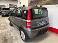 Usata Fiat Panda 4x4 69 CV (50 kW) 2013 Grigio Utilitaria