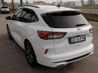 usata Ford Kuga 1.5 ecoblue ST-Line X 2wd 120cv auto