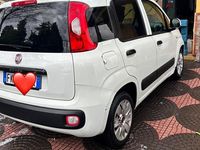 Usata Fiat Panda 2017 Utilitaria