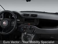 Nuova Fiat Panda S 69 CV (50 kW) 2025 Rosso Utilitaria