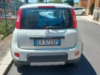 Usata Fiat Panda 4x4 S 75 CV (55 kW) 2014 Bianco Utilitaria