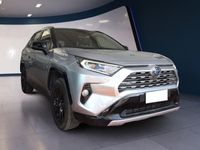 usata Toyota RAV4 Hybrid V 2019 2.5 vvt-ie h Style 2wd e-cvt