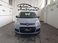 usata Fiat Panda 1.2 Easy usato