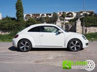 usata VW Beetle Maggiolino 1.6 TDI1.6 TDI Design 105cv