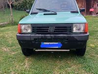 Usata Fiat Panda 4x4 Trekking 50 CV (36 kW) 2002 Utilitaria