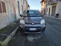 Usata Fiat Panda Launch Edition 69 CV (50 kW) 2022 Grigio Utilitaria