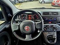 Usata Fiat Panda S 69 CV (50 kW) 2022 Other Utilitaria