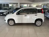 Usata Fiat Panda Easy 80 CV (58 kW) 2018 Bianco Utilitaria