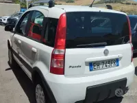 Usata Fiat Panda 4x4 Climbing 69 CV (50 kW) 2011 Bianco Utilitaria