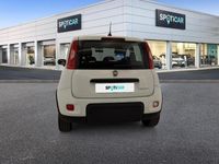 usata Fiat Panda 1.0 FireFly 70cv S&S Hybrid City Life City Lif