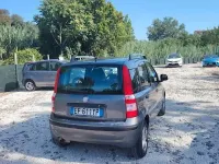 Usata Fiat Panda Emotion 69 CV (50 kW) 2011 Grigio Utilitaria