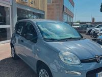 Usata Fiat Panda Easy 69 CV (50 kW) 2020 Grigio Utilitaria