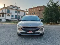 Usata Ford Kuga Titanium 120 CV (88 kW) 2020 Marrone SUV