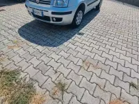 Usata Fiat Panda 60 CV (44 kW) 2008 Grigio Utilitaria