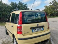 Usata Fiat Panda 2008 Giallo Berlina