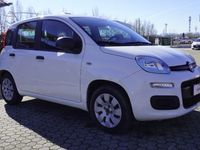 usata Fiat Panda New1.2 EasyPower Easy GPL adatta a Neopatentati