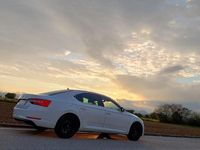 Usata Skoda Superb Executive 150 CV (110 kW) 2016 Bianco Berlina