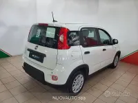 Usata Fiat Panda S 70 CV (51 kW) 2024 Bianco Utilitaria