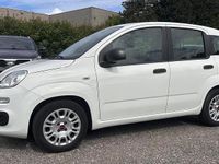 Usata Fiat Panda Easy 69 CV (50 kW) 2020 Bianco Utilitaria