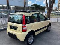 Usata Fiat Panda 4x4 Climbing 60 CV (44 kW) 2005 Giallo Utilitaria
