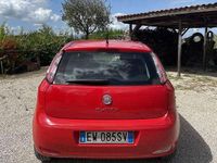 Usata Fiat Punto Young 77 CV (56 kW) 2014 Berlina