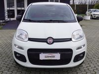 usata Fiat Panda New1.2 Pop Van 2 posti Euro 6B