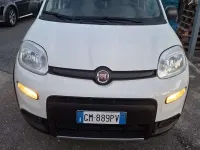 Usata Fiat Panda 4x4 Wild 86 CV (63 kW) 2023 Bianco perla Utilitaria