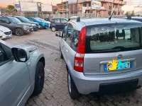 Usata Fiat Panda 4x4 Climbing 75 CV (55 kW) 2011 Argento Utilitaria